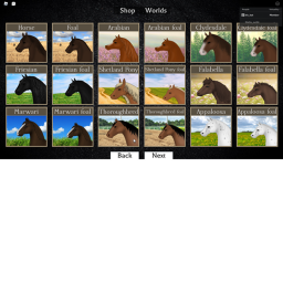 horse paradise