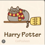 Harry Potter (The cat)