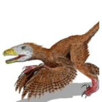 Dinosaurs Rp Group