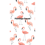 Boba Flamingos