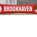 Brookhaven Private Roleplays