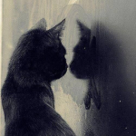 aoi.xkvz !!