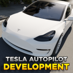 Tesla Autopilot Development