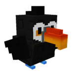 Toucan