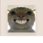Amix_UwU_xD