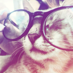 $lilly$