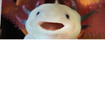 AXOLOTL-CLAN-GROUP
