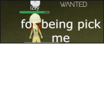 TEAM DOGE VIDS