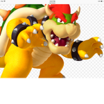 Bowser squad