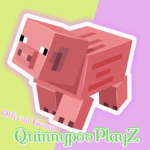QpPlayZ