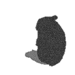 TV Static Chomik