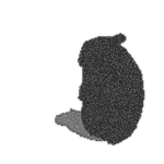 TV Static Chomik