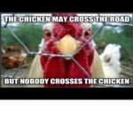 Chicks of War