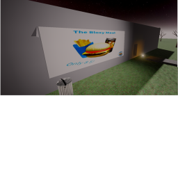 The Store