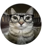 Kitty cuuu