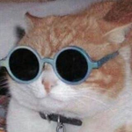 CAT REAL