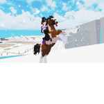 Royale Riders Academy