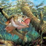 Mr.fish gang