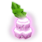 Untold Bell produce
