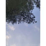 .Space_