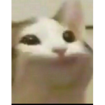 k잼 그룹
