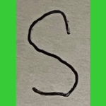 Sector Sensa