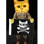 The catty cat army