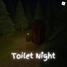 Toilet Night