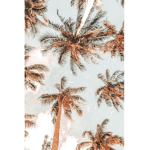 ~ɪᴢᴢʏ’s.sǫᴜᴀᴅ~