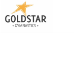 Gold star gymnastics