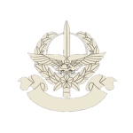 Special Advisory Group