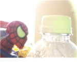 Spider-man fan group