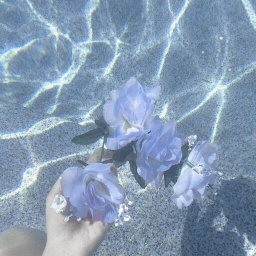 ‿୨♡୧‿