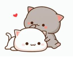 team cats club