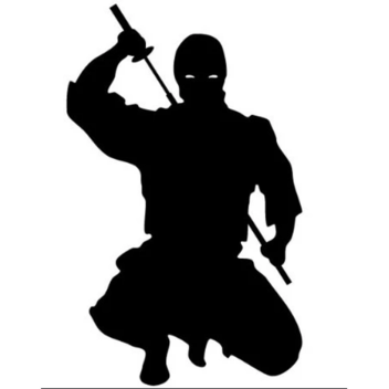 Survival Ninja Man