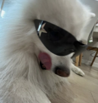 AFJUHIOWEGHFOIUBNVAOIWRHGIOPBRPOIARBNIOPWLBNNOIWEB