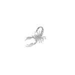 Scorpion official group