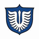 Sas’s fan group