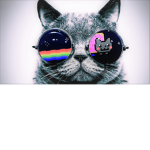 Devil Catt Group