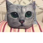 Purrrfect peace