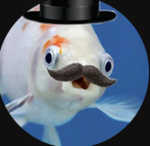 Mr Fish and Mr Cabbages Group