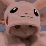~Suki Studios~