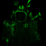 V4MP {VMP}