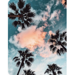 Hlfodhlfuihuifhsdkfhuwhfgiwehlfiuwhfijbvlheub