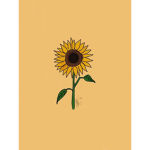 Me Everything group/Sunflower group
