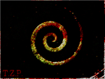 T.Z.P