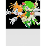 Sonic and the charters