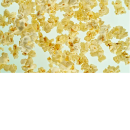 see how popcorn was made