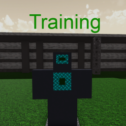 Training