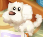 Aesthetic club uwu